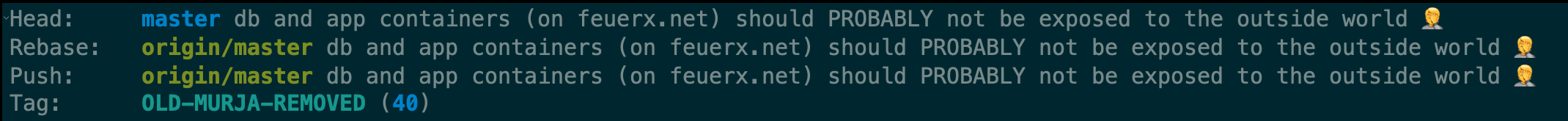 magit-näkymä emacsista, relevantti rivi: Head:     master db and app containers (on feuerx.net) should PROBABLY not be exposed to the outside world 🤦